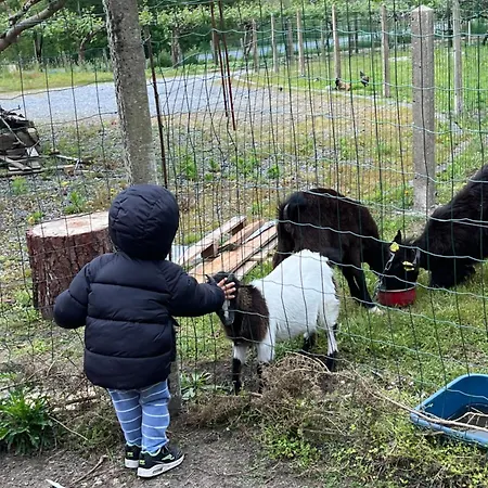 Pansiyon La Maison Du Bonheur !!
